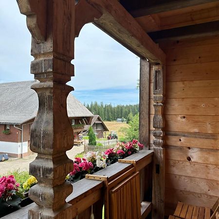 Helle Gemuetliche Ferienwohnung In Schwarzwaldhof Ibach Extérieur photo