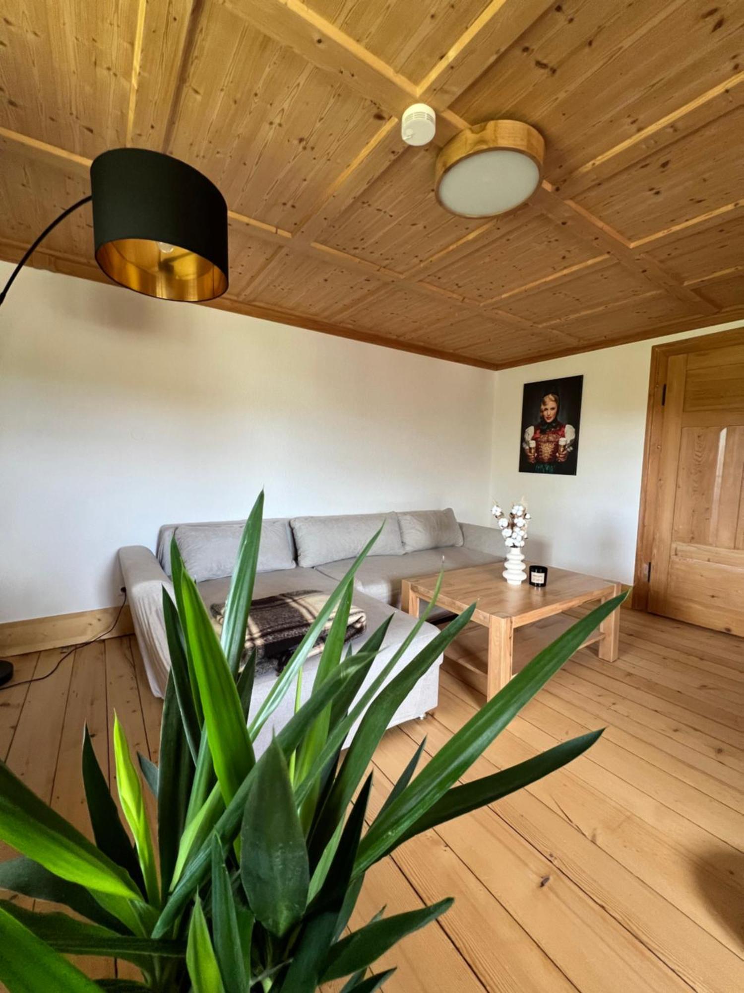 Helle Gemuetliche Ferienwohnung In Schwarzwaldhof Ibach Extérieur photo