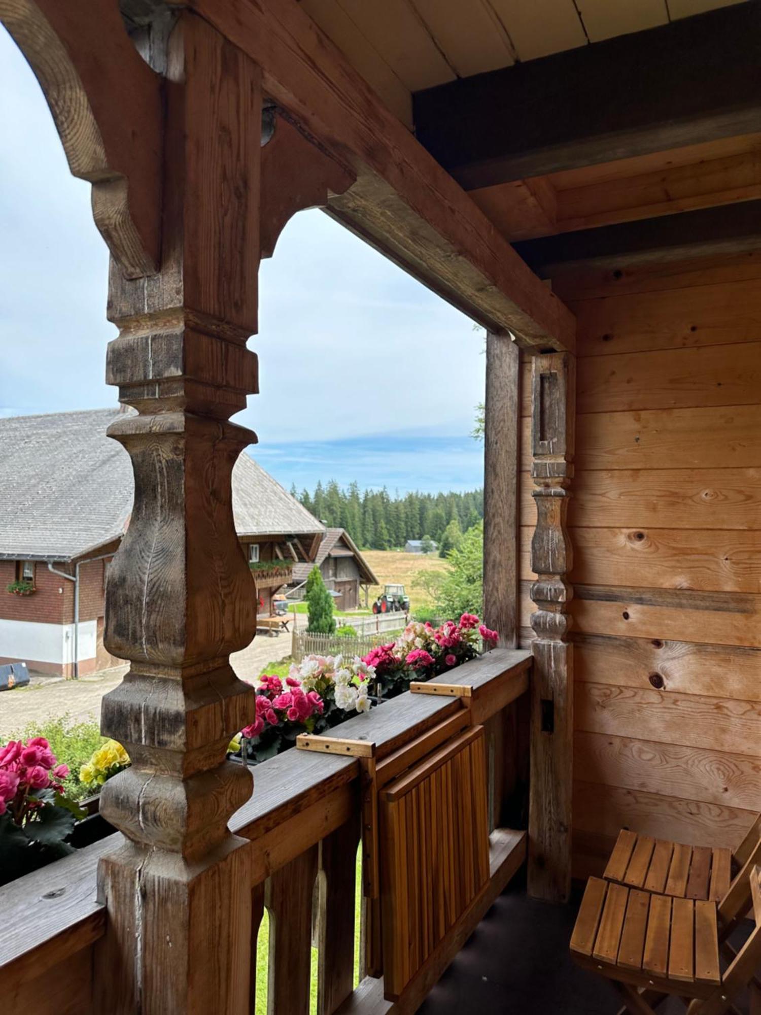Helle Gemuetliche Ferienwohnung In Schwarzwaldhof Ibach Extérieur photo