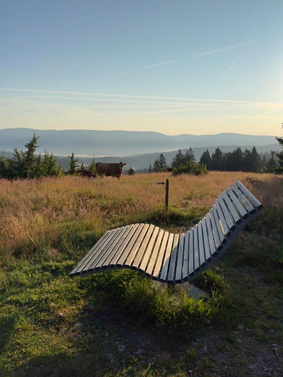 Helle Gemuetliche Ferienwohnung In Schwarzwaldhof Ibach Extérieur photo